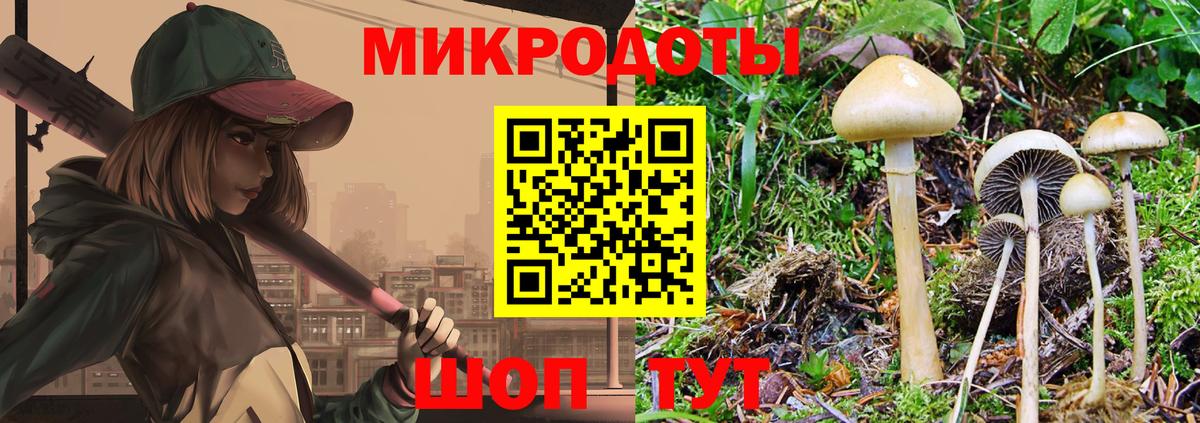 Новоуральск  Галлюциногенные грибы Psilocybine cubensis  Вход с VPN 